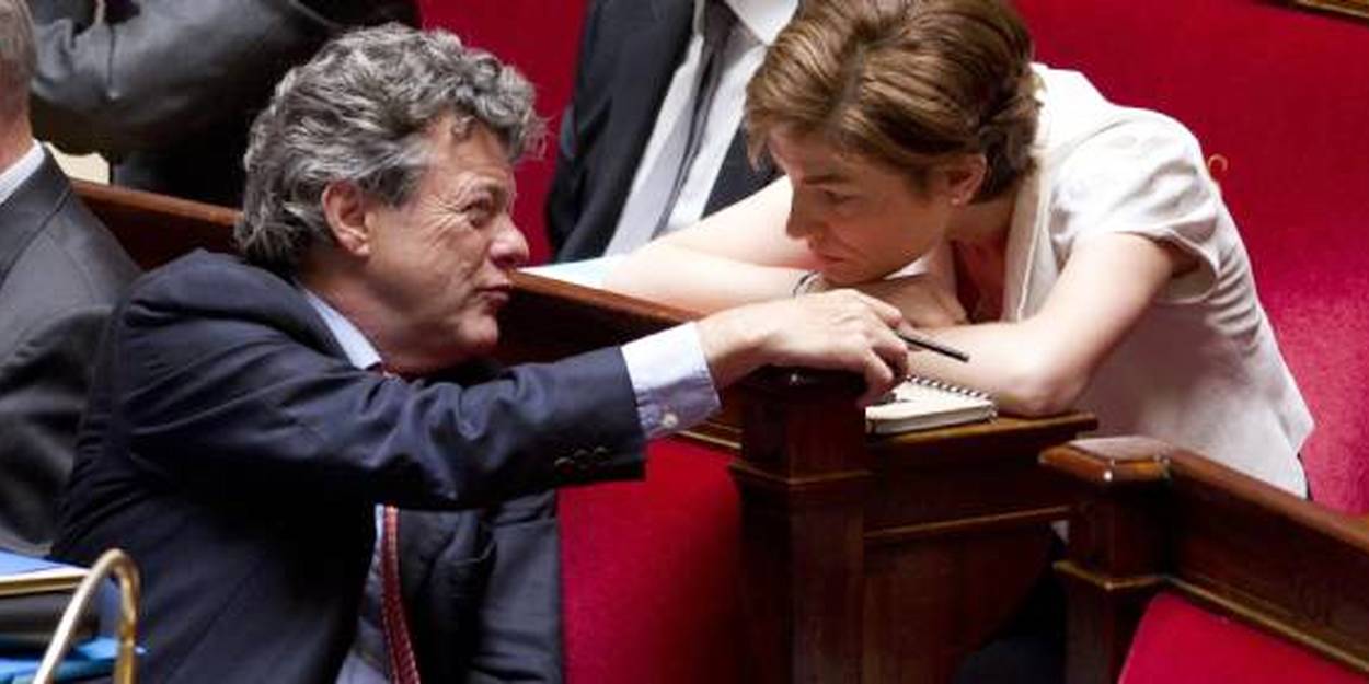 L Ex Ump Chantal Jouanno Une Prise De Choix Pour Borloo