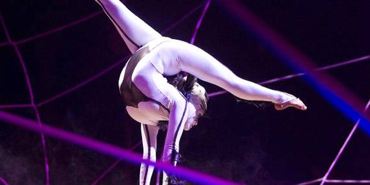 Cirque Du Soleil Une Acrobate Fran Aise Fait Une Chute Mortelle