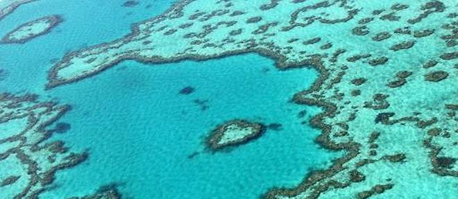 L Australie présente un plan de préservation sur 35 ans de la Grande