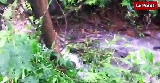 Vidéo Cyclone Bejisa La Réunion le jour d après