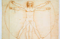  Les proportions humaines, d'apres Vitruve. Dessin de Leonard de Vinci. 344 x 245 mm. Galerie dell'Accademia, Venise. 