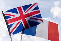  En 2014, il y avait 757 Britanniques elus conseillers municipaux en France.
