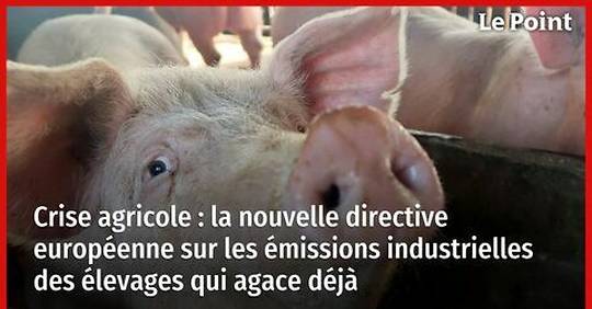 Vid O Crise Agricole La Nouvelle Directive Europ Enne Sur Les