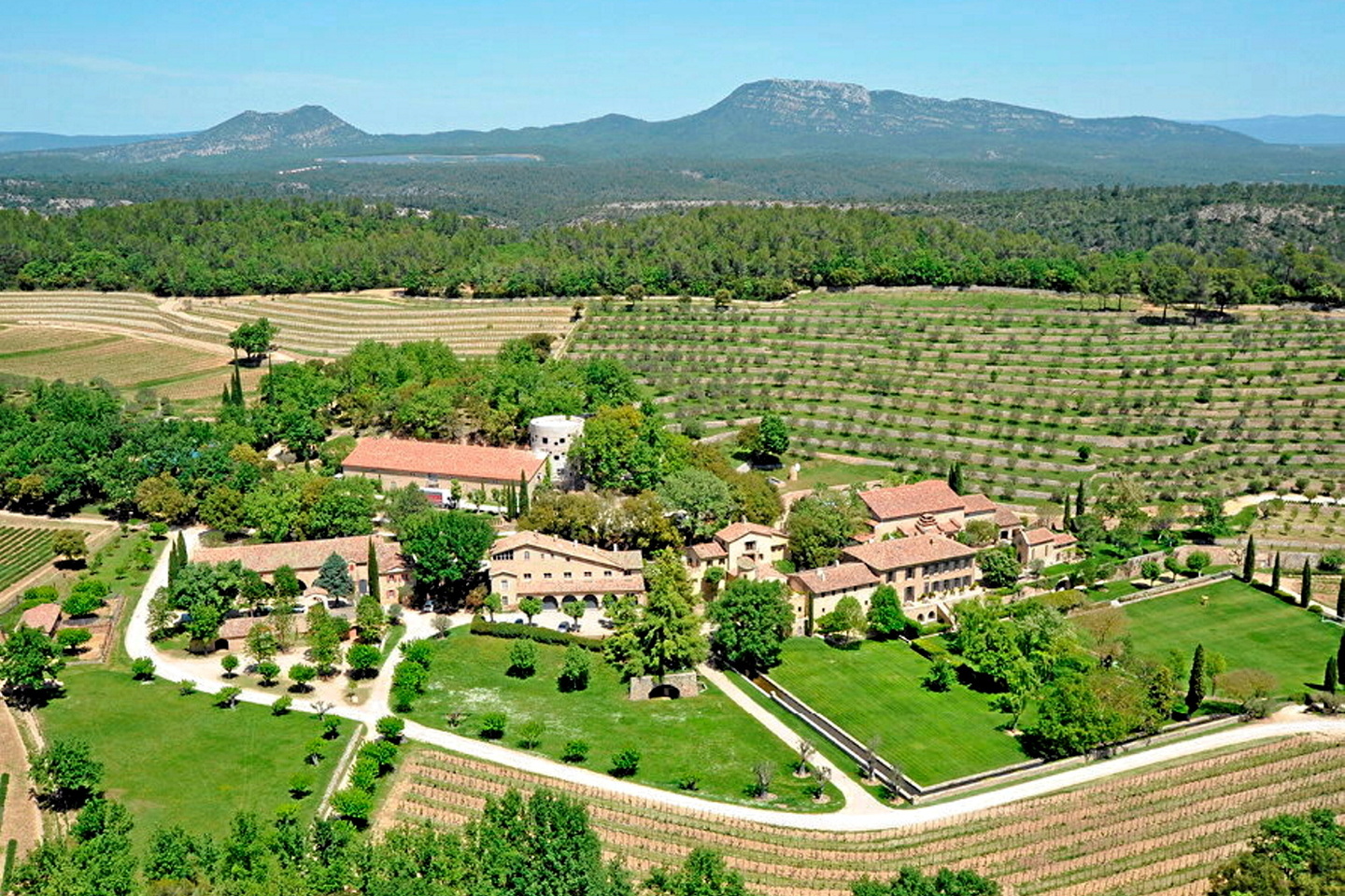 Dans des vignes de Provence, le lombric à la rescousse - La Revue