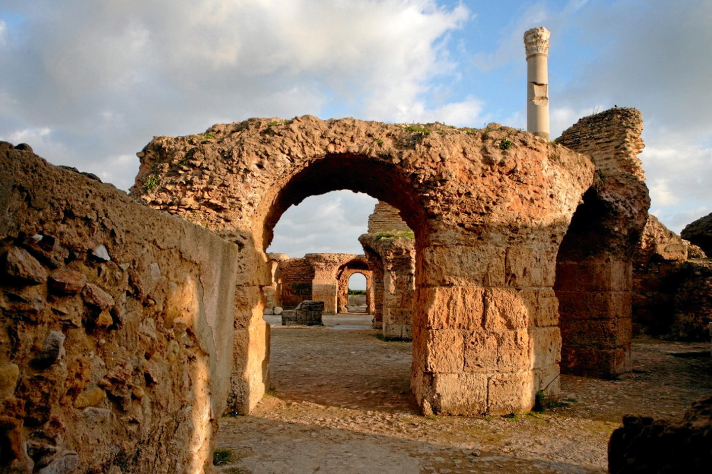 Dans la cité antique de Carthage, des pièces d'or et des restes d'enfants découverts