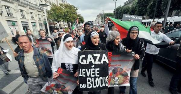 Palestine vaincra» : 150 personnes se rassemblent à Lyon