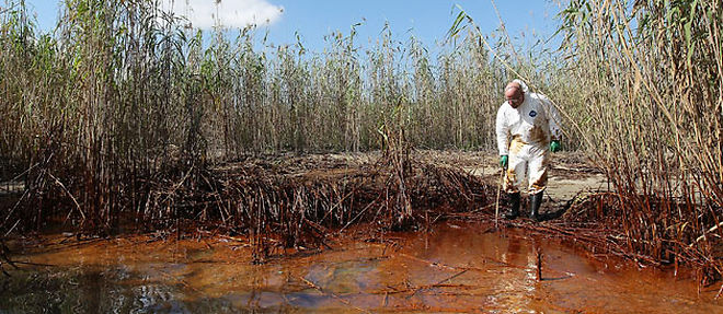 L'or noir qui s'ecoule dans le golfe du Mexique a contamine plus de 55 kilometres de bayous et de plages de Louisiane (C) AFP