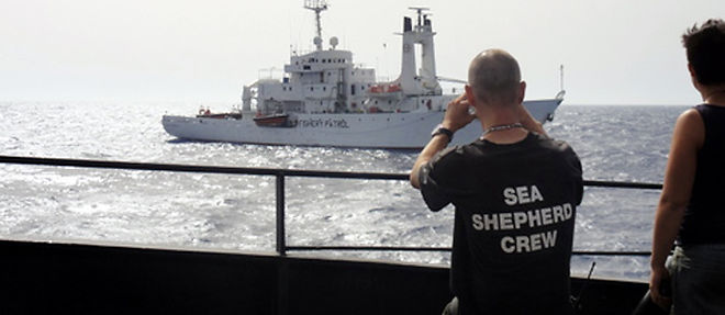 Les membres d'equipage du Sea Shepherd surveille la mer et les bateaux qu'ils croisent (C) DR