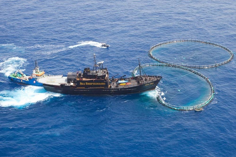 Танкер вега. Vega sea. Cantabrian sea. Vega sea. Vega sea.