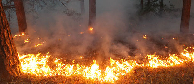 Accablee par des temperatures caniculaires, la Russie fait face a des incendies ravageurs (C) Sipa
