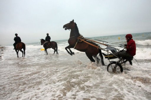 Au dela des centres de thalasso (1.000 euros par mois), beaucoup d'entraineurs non specialises installes en bord de mer font travailler leurs chevaux dans l'eau, de Royan (Charente-Maritime) au Touquet (Pas-de-Calais).