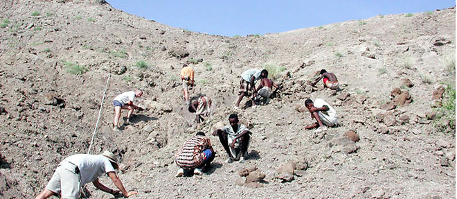 L'equipe du paleontologue Zeresenay Alemseged vient de decouvrir, en Ethiopie, des fossiles qui avancent de pres d'un million d'annees la premiere "scene de boucherie" connue (C) MAX/SIPA