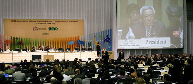 La conference de l'ONU a Nagoya s'est conclue par un accord sur la protection de la biodiversite (C) Sipa