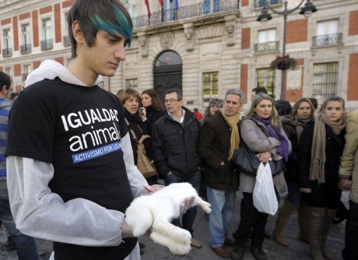 Environ 200 defenseurs des animaux portant chacun le cadavre d'un lapin, d'un poulet ou d'un agneau dans les bras ont manifeste dans le silence samedi a Madrid pour faire valoir leurs droits, a constate un correspondant de l'AFP.