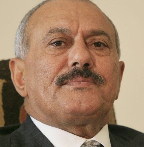 Le president yemenite Ali Abdallah Saleh, confronte a des protestations populaires, a annonce mercredi le gel d'un amendement constitutionnel qui lui permettrait de briguer un nouveau mandat.