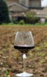 Bordeaux: &quot;trop t&ocirc;t&quot; pour les primeurs, selon des professionnels du vin
