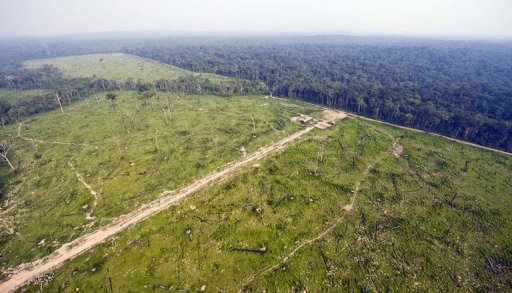 Le code forestier de 1965 limite l'usage agricole des terres en obligeant les proprietaires de forets a en preserver une partie intacte, jusqu'a 80% en Amazonie. Elle protege egalement des zones sensibles comme les rives des fleuves, les sommets et les coteaux des collines.