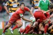 Top 14 de rugby: Kelleher a sign&eacute; au Stade Fran&ccedil;ais