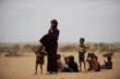 Corne de l'Afrique: la FAO r&eacute;clame 120 millions de dollars pour lutter contre la famine
