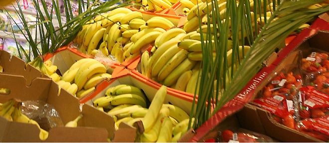 Les bananes constituent une nourriture de base pour des millions de personnes sous les tropiques.