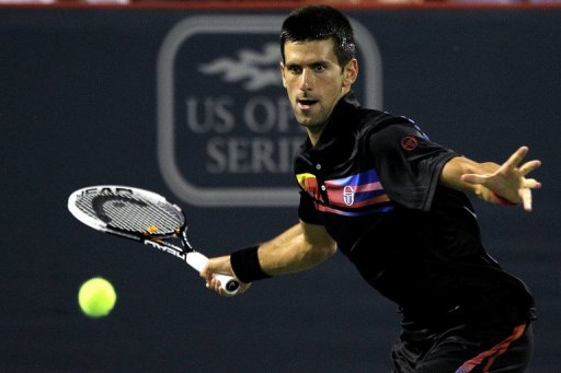 Djokovic a l'occasion de gagner dimanche son 9e titre de la saison face a l'Americain Mardy Fish (N.6), qui a battu le Serbe Janko Tipsarevic (6-3, 6-4).