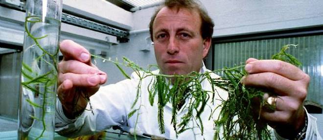 Le professeur Meinesz presente, en juillet 1996, un echantillon de Caulerpa taxifolia afin d'alerter sur le danger que l'algue represente pour la biodiversite de la Mediterranee.