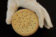 Un biscuit centenaire de l'explorateur Shackleton vendu 1.400 euros