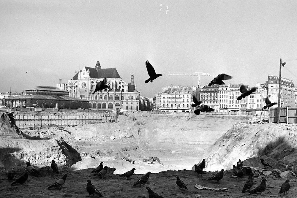 Les oiseaux, 1973
