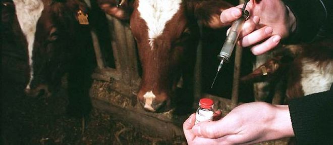 L'Union europeenne a interdit en 1988, pour des raisons sanitaires, les importations de viande bovine issue d'animaux traites aux hormones de croissance.