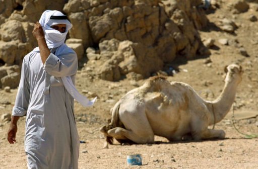 Deux personnes de nationalite bresilienne ont ete enlevees dimanche par des bedouins dans la peninsule du Sinai en Egypte, ce qui constitue le troisieme rapt de touristes depuis debut fevrier dans cette region, selon des sources securitaires.