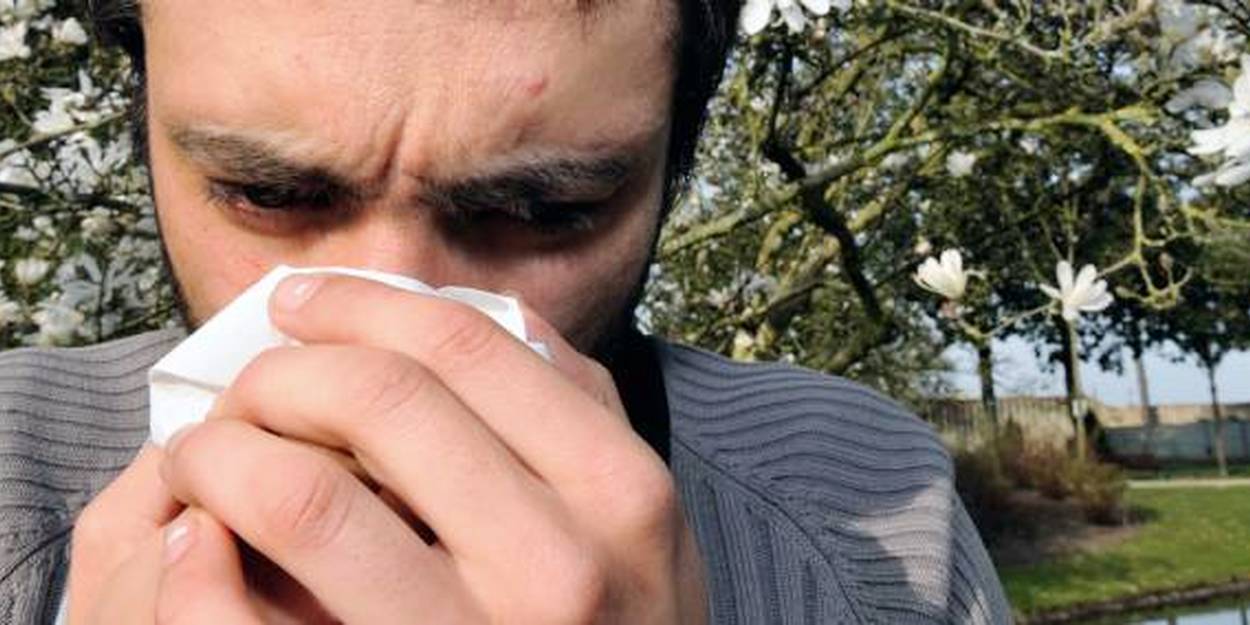 Pollens : Une Semaine De Passation De Pouvoirs