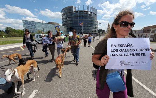 Plusieurs centaines de personnes accompagnees de leurs animaux ont manifeste samedi a Strasbourg pour protester contre les actes de maltraitance dont sont victimes selon eux les levriers en Espagne.