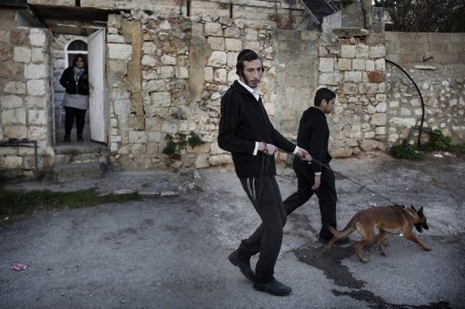 La municipalite de Jerusalem a annonce dimanche dans un communique son intention de prelever et repertorier l'ADN des chiens enregistres dans la ville afin de mieux contraindre leurs proprietaires a ramasser leurs excrements.