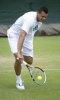 Wimbledon: Tsonga suspendu &agrave; son petit doigt