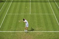 Wimbledon: un duel France-Belgique, Djokovic m&eacute;fiant face &agrave; Harrison