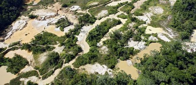 Vue aerienne prise le 6 septembre 2007 d'une partie d'un site d'exploitation orifere clandestin, le long d'un affluent du fleuve Maroni, en pleine foret guyanaise.