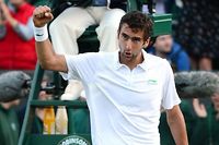 Wimbledon: Ferrer le terrien stoppe Roddick l'herbivore