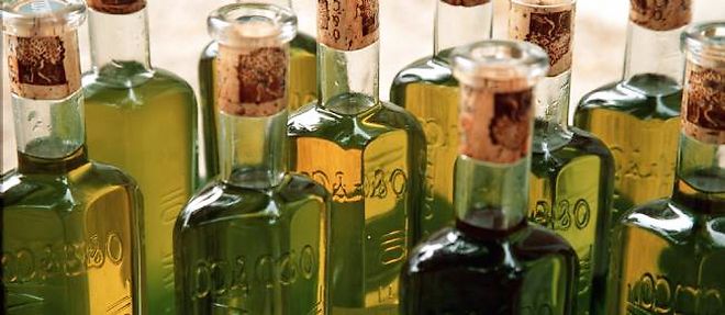 L'huile d'olive vierge extraite de la variete la plus etendue dans le monde, la picual, est citee en exemple.