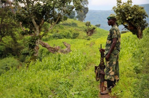 Depuis mai, les mutins, issus de l'ex-rebellion du Congres national pour la defense du peuple (CNDP), sont regroupes dans le sud-est du parc des Virunga ou ils resistent aux attaques et bombardements frequents des FARDC.