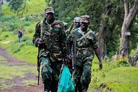 RDC: les mutins prennent d'autres localit&eacute;s et annoncent qu'ils vont se retirer