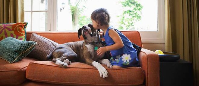 Les chiens de compagnie protegeraient des infections de l'oreille et des affections respiratoires.