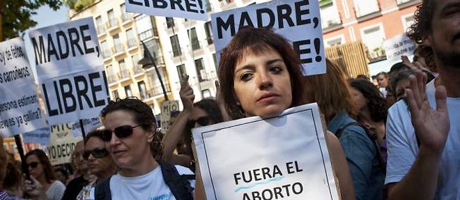 La manifestation contre le projet du gouvernement Rajoy a reuni des centaines d'Espagnols a Madrid dimanche 29 juillet.