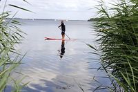Avec le stand up paddle, les Fran&ccedil;ais marchent sur l'eau