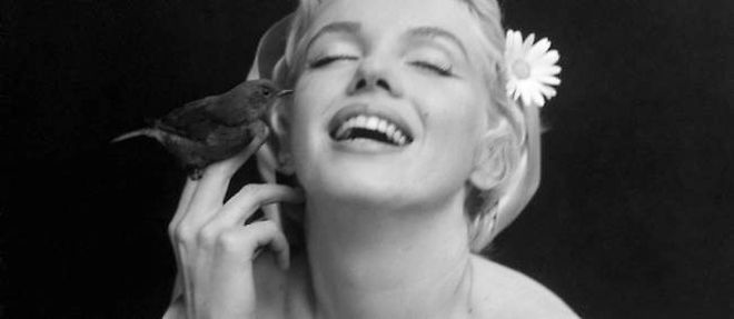 Marilyn Monroe, icone absolue et mythe toujours vivant
