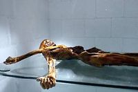 La momie de Ötzi, exposée au musée de Bolzano, en Italie. ©Andrea Solero
