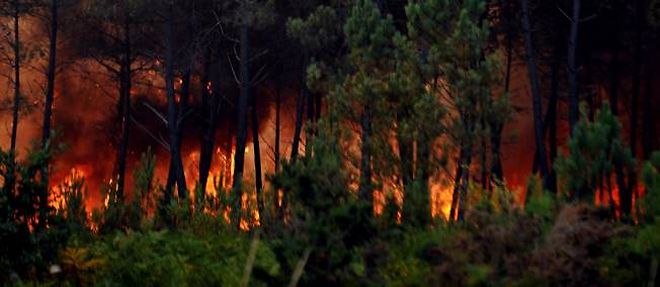 LE POINT DE LA MI-JOURNEE : incendie dans les Landes, coup de sang de Depardieu