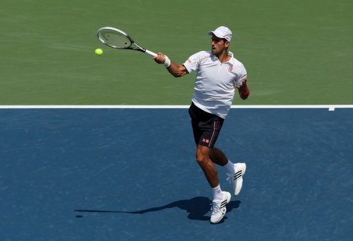 L'Argentin Juan Martin del Potro defie le Serbe Novak Djokovic samedi en demi-finale du Masters 1000 de Cincinnati (Ohio) tandis que l'autre billet pour la finale reviendra a un Suisse, Roger Federer ou Stanislas Wawrinka.