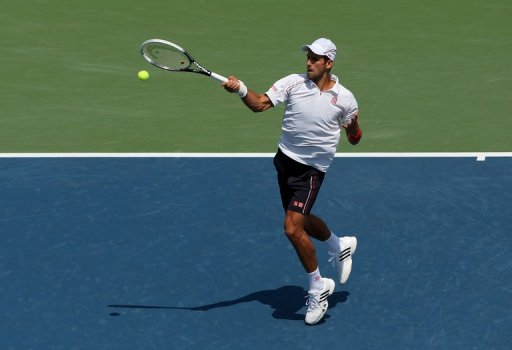 Le Serbe Novak Djokovic n'a laisse aucune chance a l'Argentin Juan Martin del Potro, qu'il a battu samedi 6-3, 6-2 pour se qualifier en finale du tournoi ATP de Cincinnati