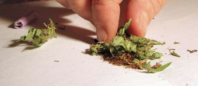 Etude - Fumer du cannabis depuis l'adolescence endommage irreversiblement le cerveau