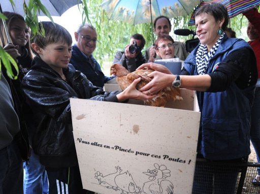 Une petite commune de la Sarthe, Pince, a solennellement remis vendredi une paire de poules a tous les foyers volontaires, dans une demarche a la fois "conviviale" et "citoyenne" destinee notamment a reduire le volume des dechets menagers organiques.